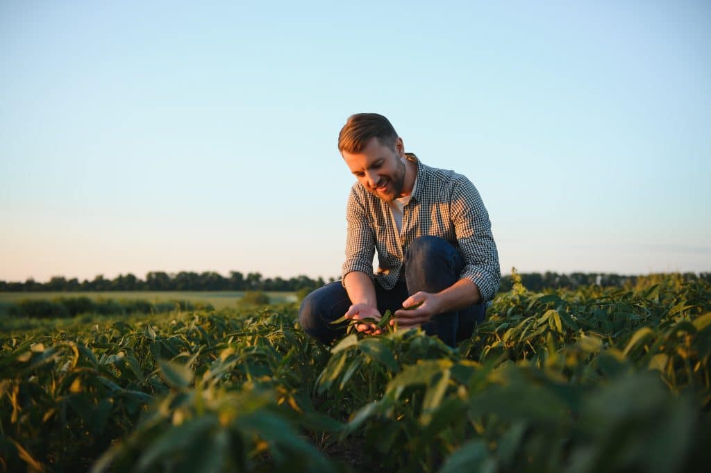 agricultor activo